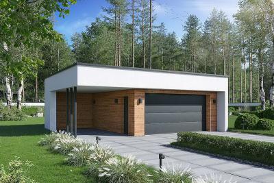 Проект Новики