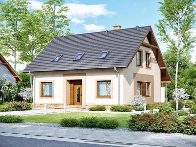 Проект Крюки