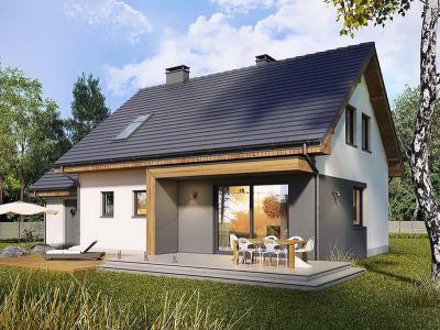 Проект Волы