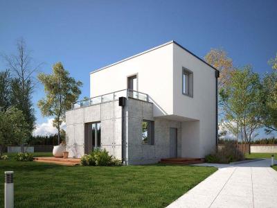 Проект Полесье