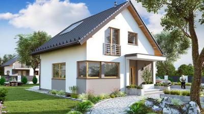 Проект Корма