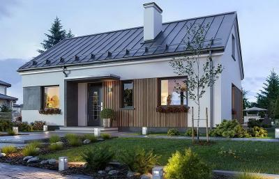 Проект Черница