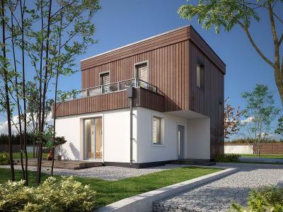 Проект Дубки