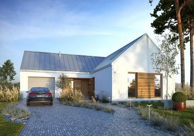 Проект Нивки