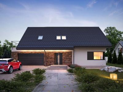 Проект Жуки