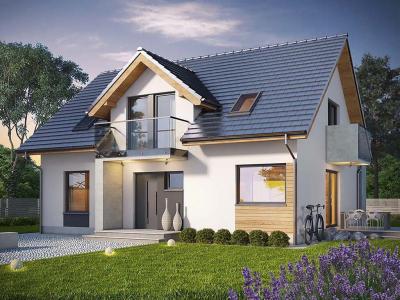 Проект Пасека