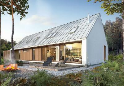 Проект Мурашки