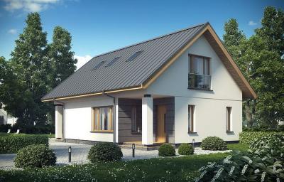 Проект Кострица