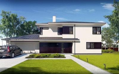 Проект Долевичи