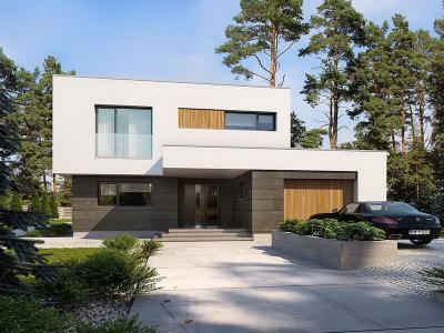 Проект Фальки