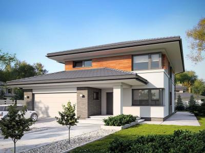 Проект Стражи