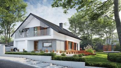 Проект Ковали