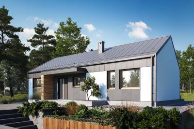 Проект Заборье