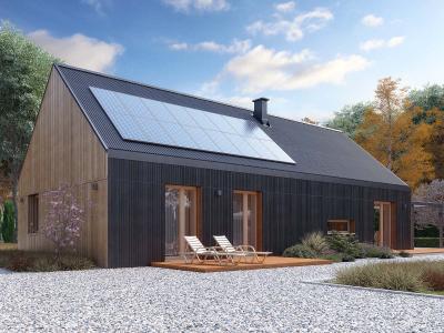 Проект Лядо