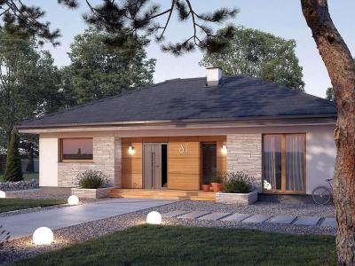 Проект Свидно