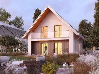 Проект Зорька