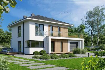 Проект Синицы