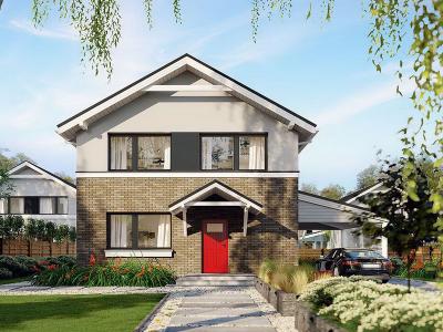 Проект Богино