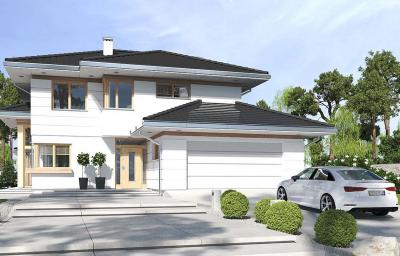 Проект Леоново