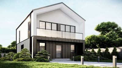 Проект Друйка