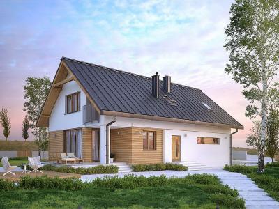 Проект Селянка