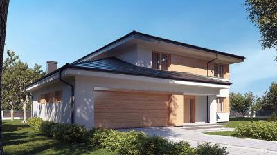 Проект Кучки