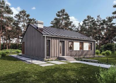 Проект Печное