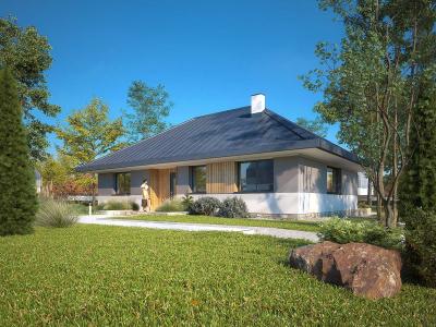 Проект Шинки