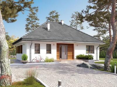 Проект Кулики