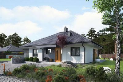 Проект Янишки