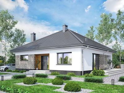 Проект Вертники