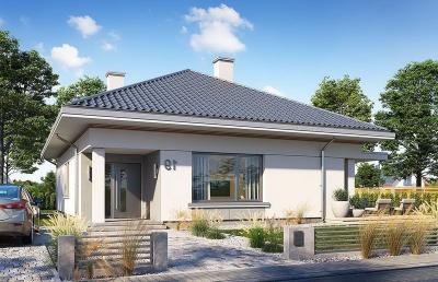 Проект Ливье