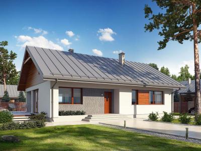 Проект Савичи