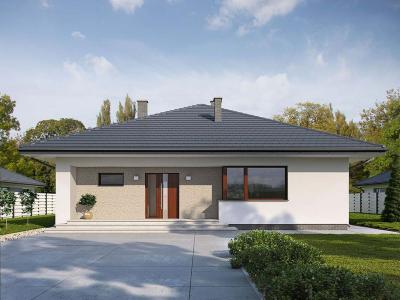 Проект Чики