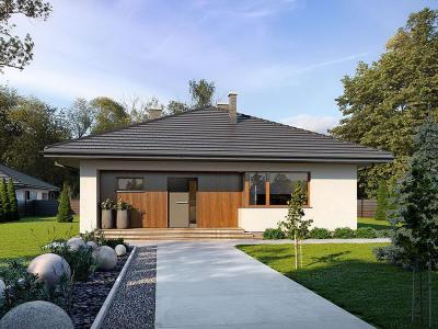 Проект Носовичи