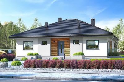 Проект Мироны