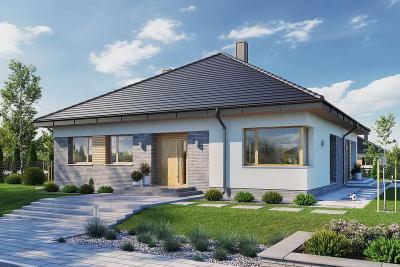 Проект Хвойники