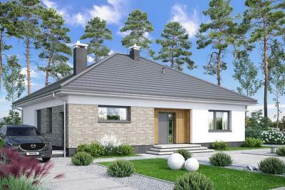 Проект Гусаки