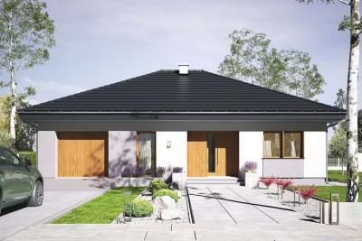 Проект Зубки