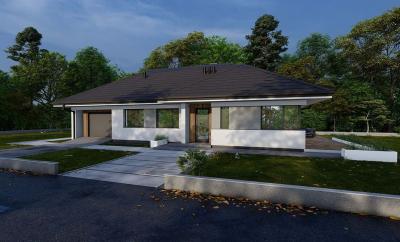 Проект Лесное