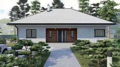 Проект Гальки