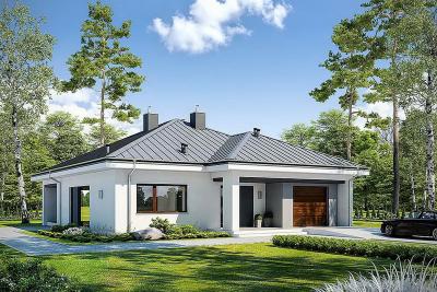 Проект Шатьки