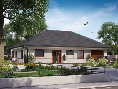 Проект Беланы