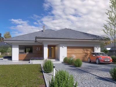 Проект Клишино