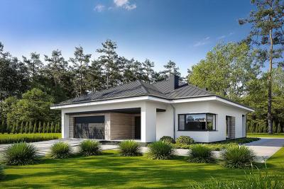 Проект Липовец