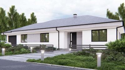 Проект Журавы