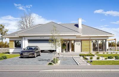 Проект Желуды