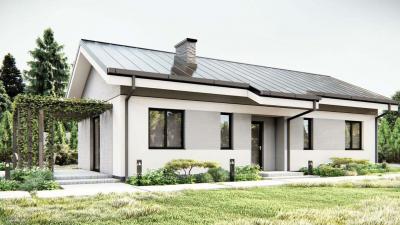 Проект Коновалы