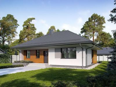 Проект Городея