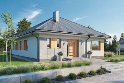 Проект Заельня